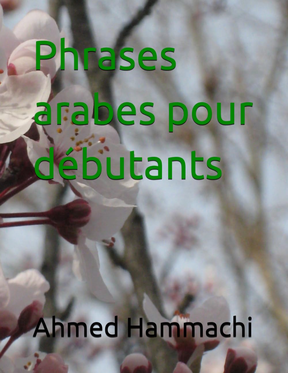 Phrases arabes pour débutants
