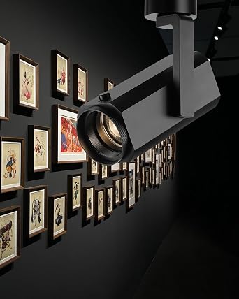 Adjustable Ceiling Spotlight, LED Flush Mounted Spot Light Black 20W Focus Light for Wall Display Artwork Portrait Gallery