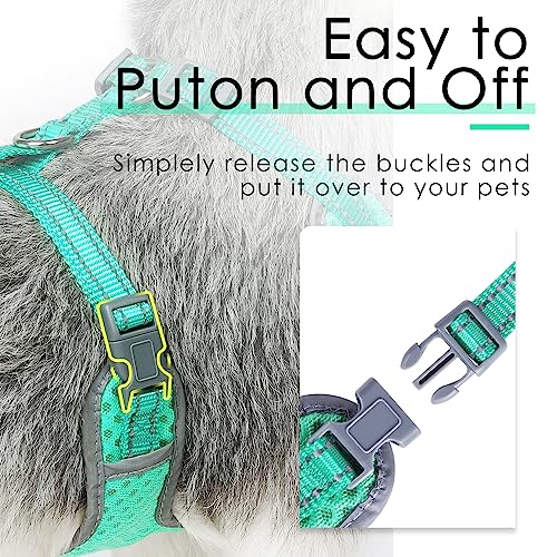 ThinkPet No-Pull Hundegeschirr Leine Set, Atmungsaktiv Brustgeschirr für Kleine Mittlere Große Hunde, Einstellbar Weich Laufgeschirre Sicher Kontrolle Gepolstert Reflektierendes Sicherheitsgeschirr