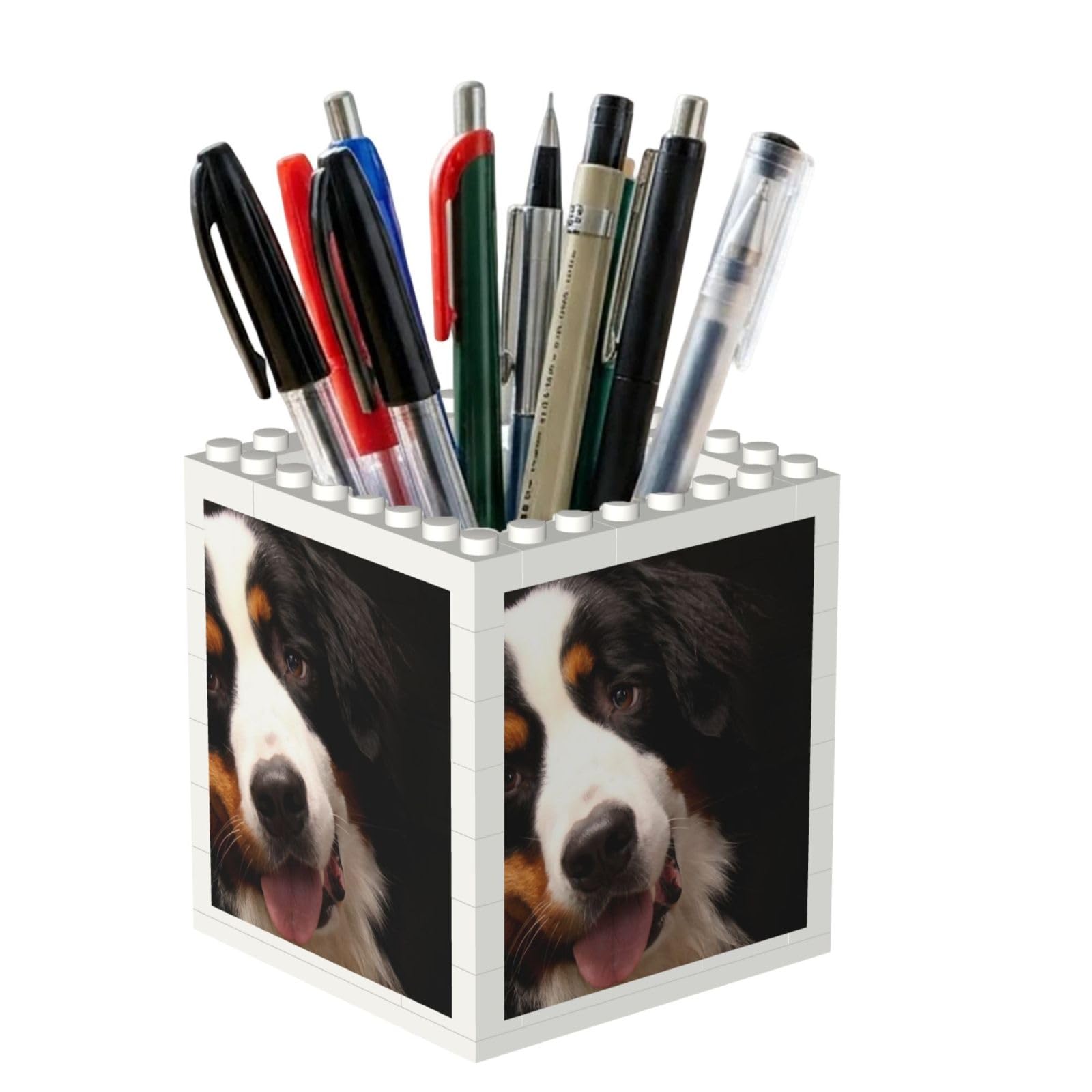 Poadnly Bernese Mountain Dog, Pen Pot Pencil Holder for Office Home School, Compact Desk Organiser for Office Stationery