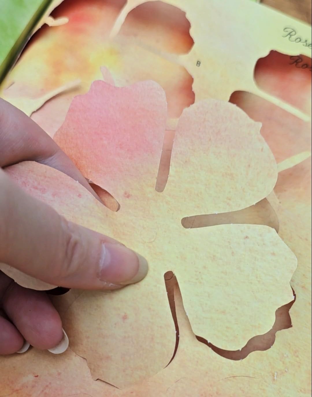 The Bouquet in a Book: Pre-punched pages to press out and make paper flowers: 1