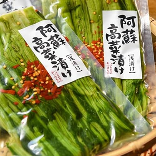 [ふるさと納税]黒川温泉発 阿蘇高菜の浅漬け(5個入) 阿蘇高菜 浅漬け 160g 5個 高菜 漬物 高菜漬け 高菜漬物 お取り寄せ ギフト 贈答用 黒川温泉 九州 熊本 阿蘇 南小国町