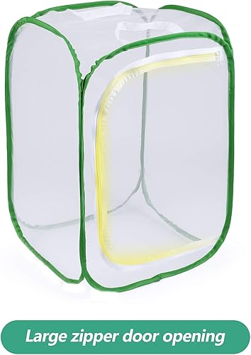 Miniatura 4 de Jaula grande de 23.6 pulgadas para insectos con diseño de mariposa y orugas, 6 paneles de malla de 15.7 x 15.7 x 23.6 pulgadas de alto