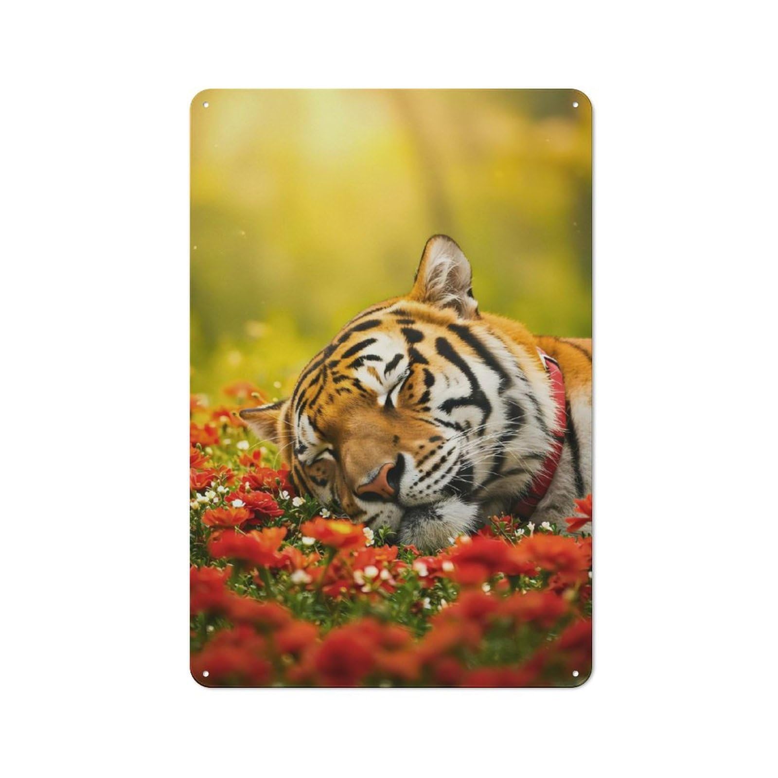 Junmoney Sleeping Tiger In A Field Of Flowers Metal Wall Plaque 30X20cm, Everyday Small Space Decor For Flat, Dorm Room, Lounge Or Cafe