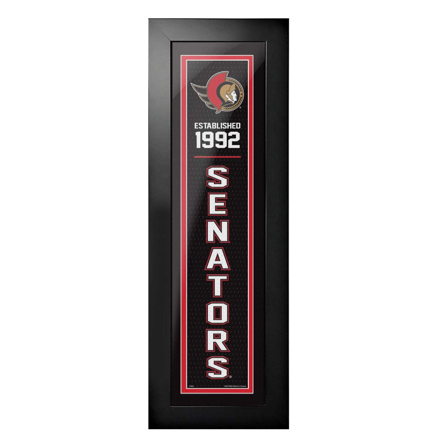 That's My Ticket Ottawa Senators Established Frame Artwork