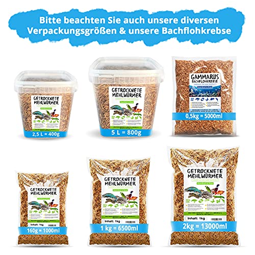 Mehlwürmer getrocknet, 1kg (entspricht 6,5 Litern!) Futtermittel im Beutel, der proteinreiche Snack für Wildvögel… – Bild 8