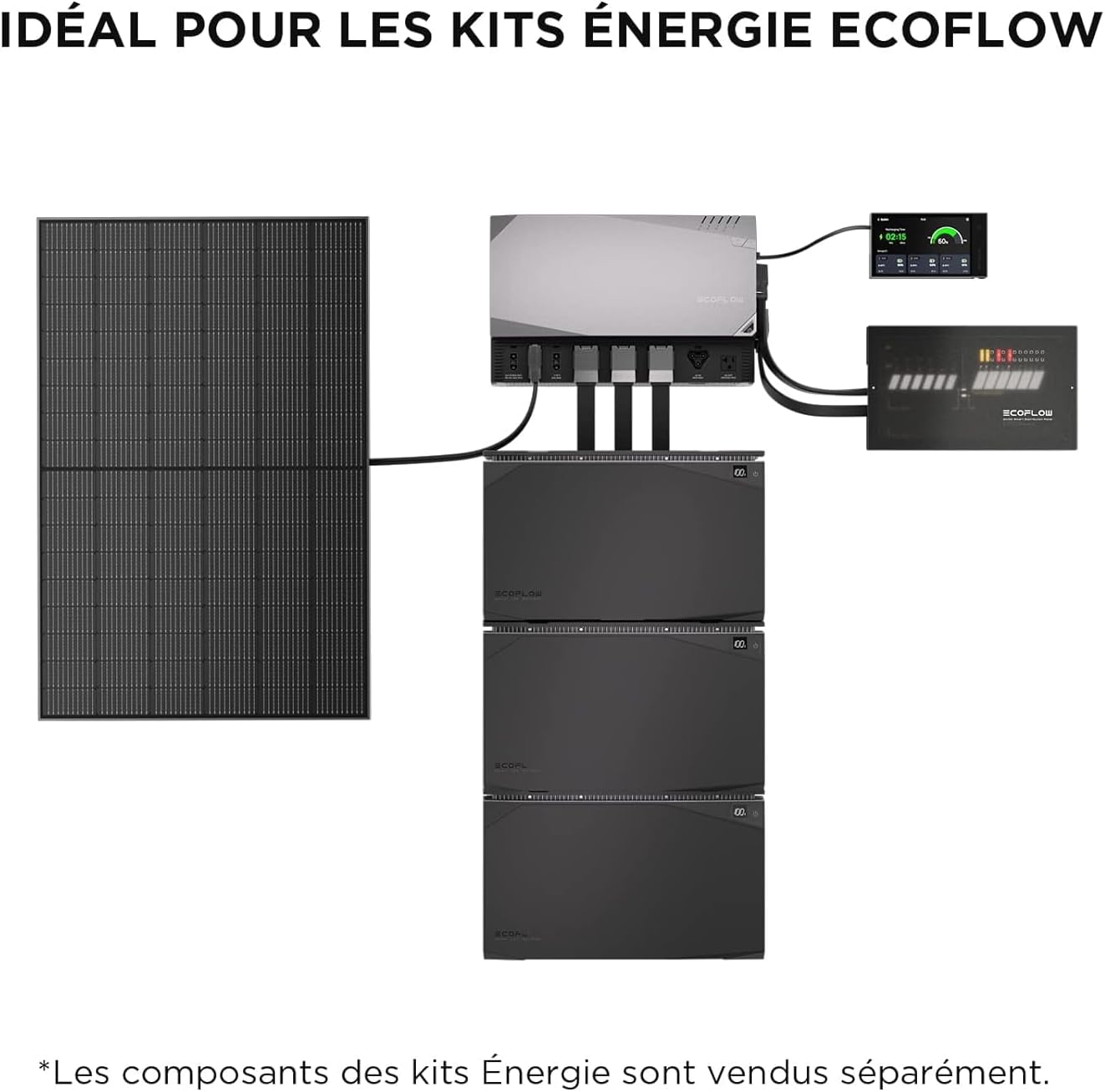 EcoFlow Solar Panel Dimensions and Weight