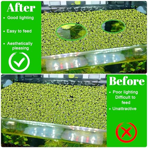 Image of 5Pcs Aquarium Floating Plant Rings, Fish Feeding Ring, Aquarium Plant Holder for Keeps Duckweed Out or in, 5 Sizes of Floating Plants Rings for Feeding Fish, Fishing Tank Decoration
