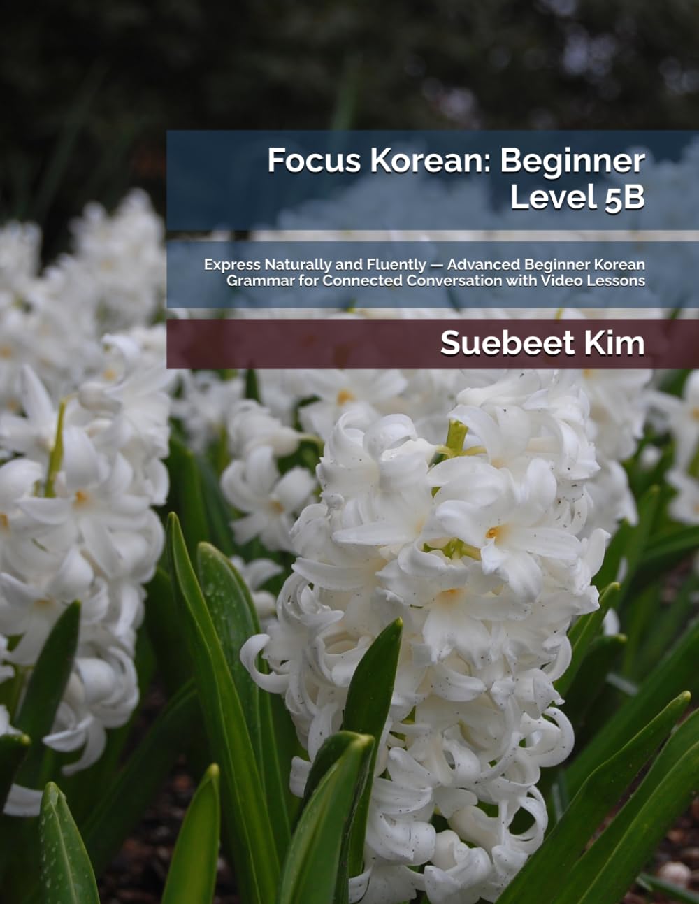 Focus Korean: Beginner Level 5B: Express Naturally and Fluently — Advanced Beginner Korean Grammar for Connected Conversation with Video Lessons: 12 ... Learning System—from Hangeul to Fluency.)