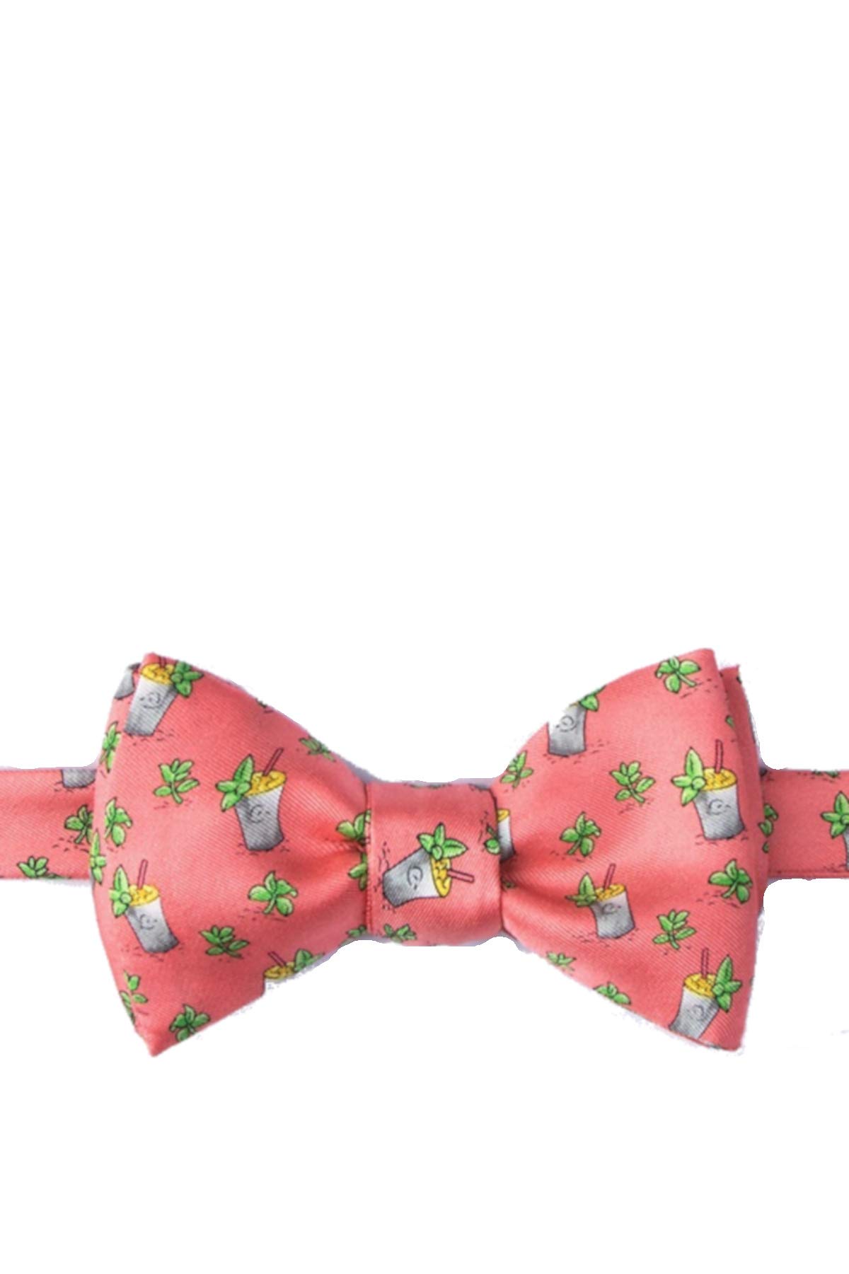 Alynn Men's 100% Silk Coral Mint Julep Derby Horse Racing Self Tie Bow Tie