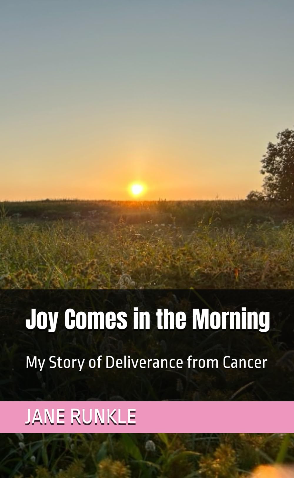 Joy Comes in the Morning: My Story of Deliverance from Cancer