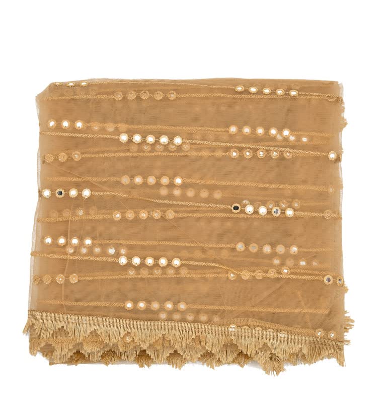 Girl's Embellished Net Dupatta, Baby pink2