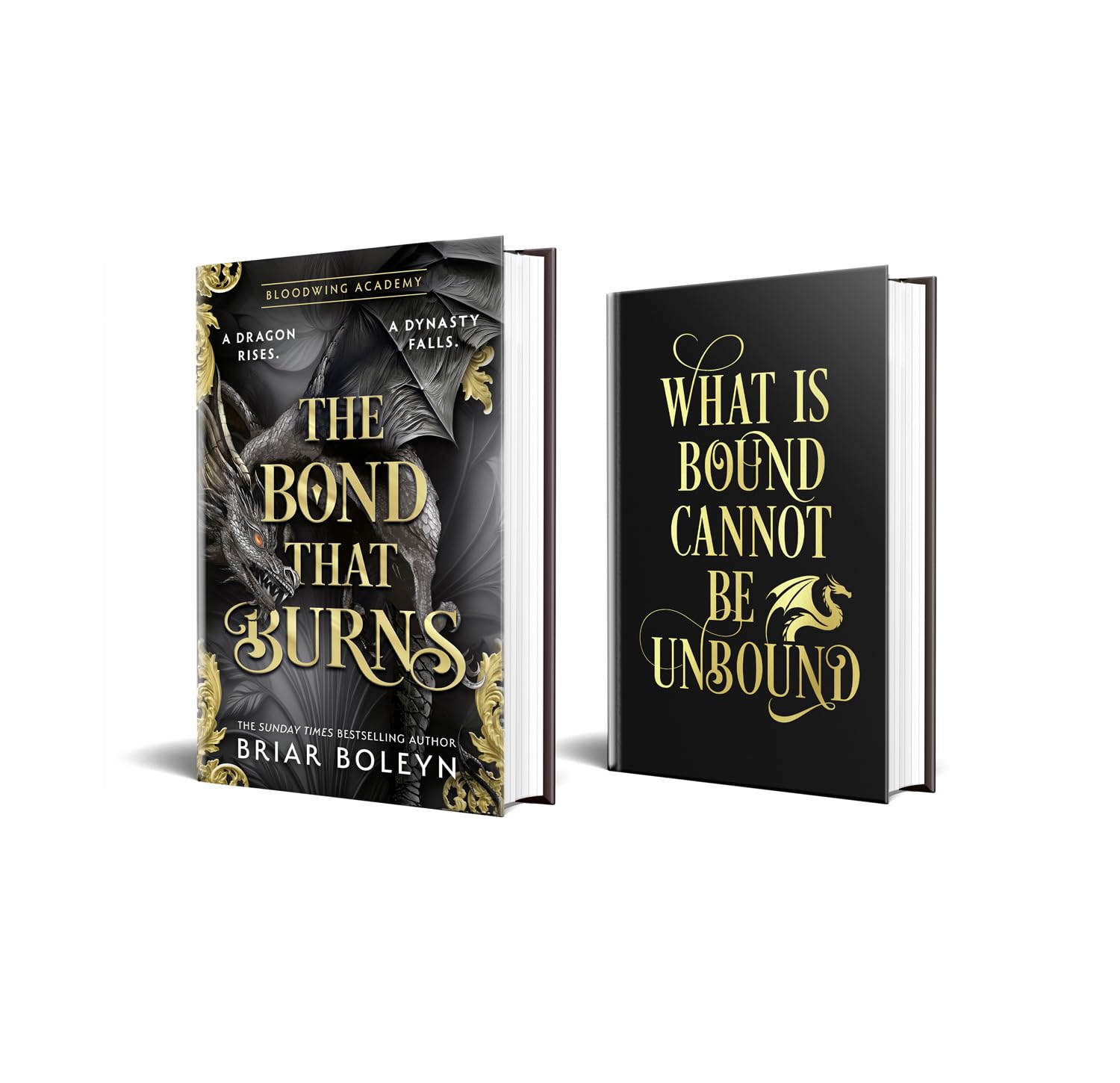 The Bond that Burns: The new, hottest, MUST-READ dark academia, enemies-to-lovers fantasy romance, with dragons and vampires, for 2025 from the Sunday Times bestseller!: Book 2