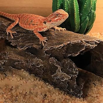 m46特大流木 大型流木 アク抜き済み 爬虫類シェルター レイアウト用 隠れ家 m46特大流木 大型流木 アク抜き済み 爬虫類シェルター