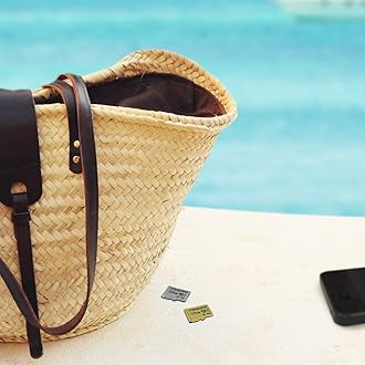 Transcend 256GB MicroSDXC/SDHC 300S Memory Card TS256GUSD300S (TS256GUSD300S-A)