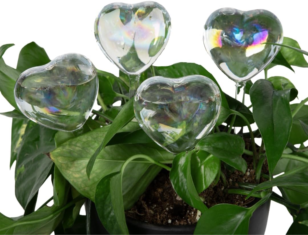 Heart Plant Watering Globes – 4-Pcs Set Self-Watering Globes – Water Globes for Indoor Plants, Flowers, Outdoor Plants – Watering Bulb Water Dripper – Cute Iridescent Glass Heart Globes