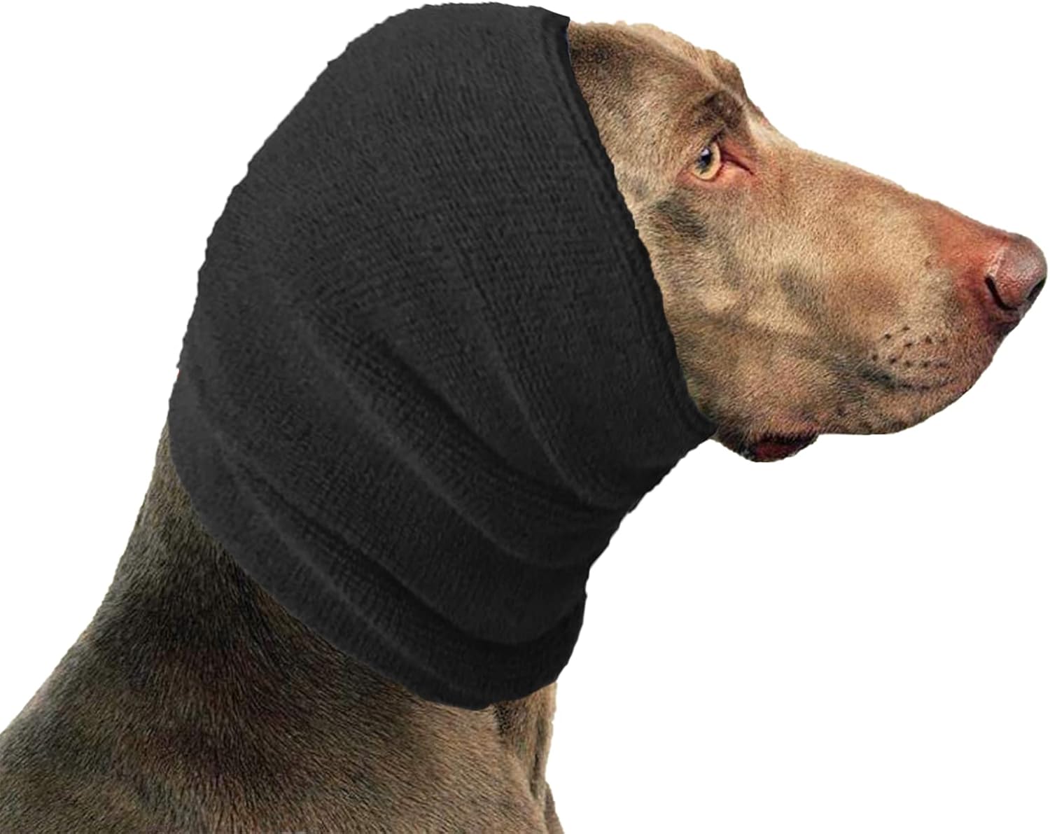 The Hoodie for Dogs & Cats The Grooming and Force Drying