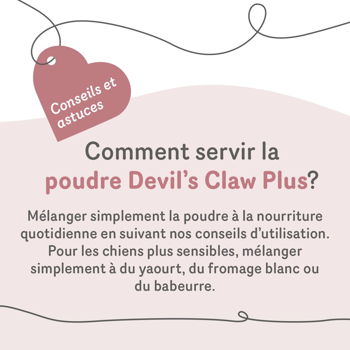 GRAU - Devil’s Claw Plus, Pack de 1 (1 x 250 g), Aliment complémentaire pour Chiens