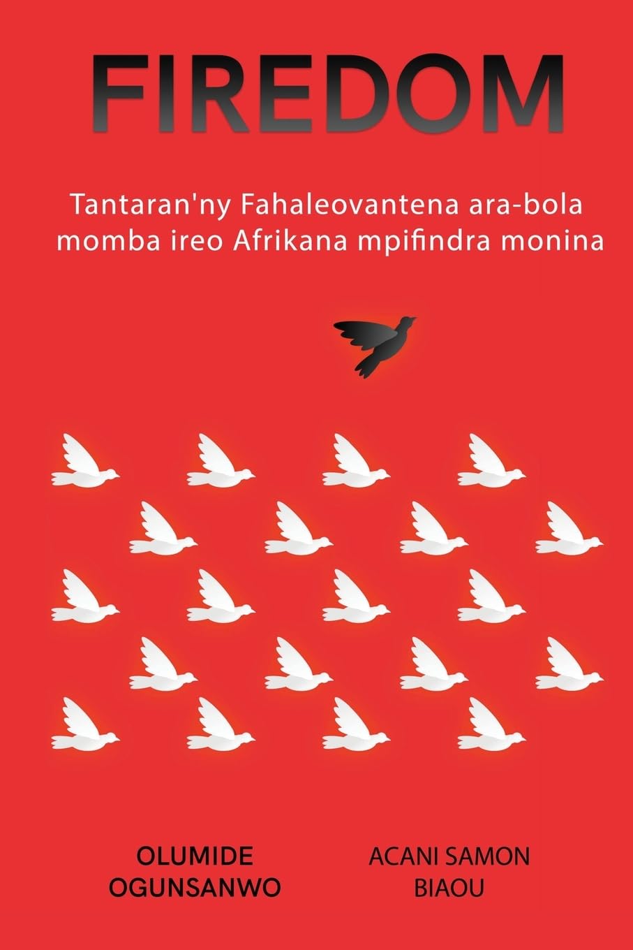 FIREDOM: Tantaran'ny fahaleovantena ara-bola an'ireo Afrikana mpifindra monina