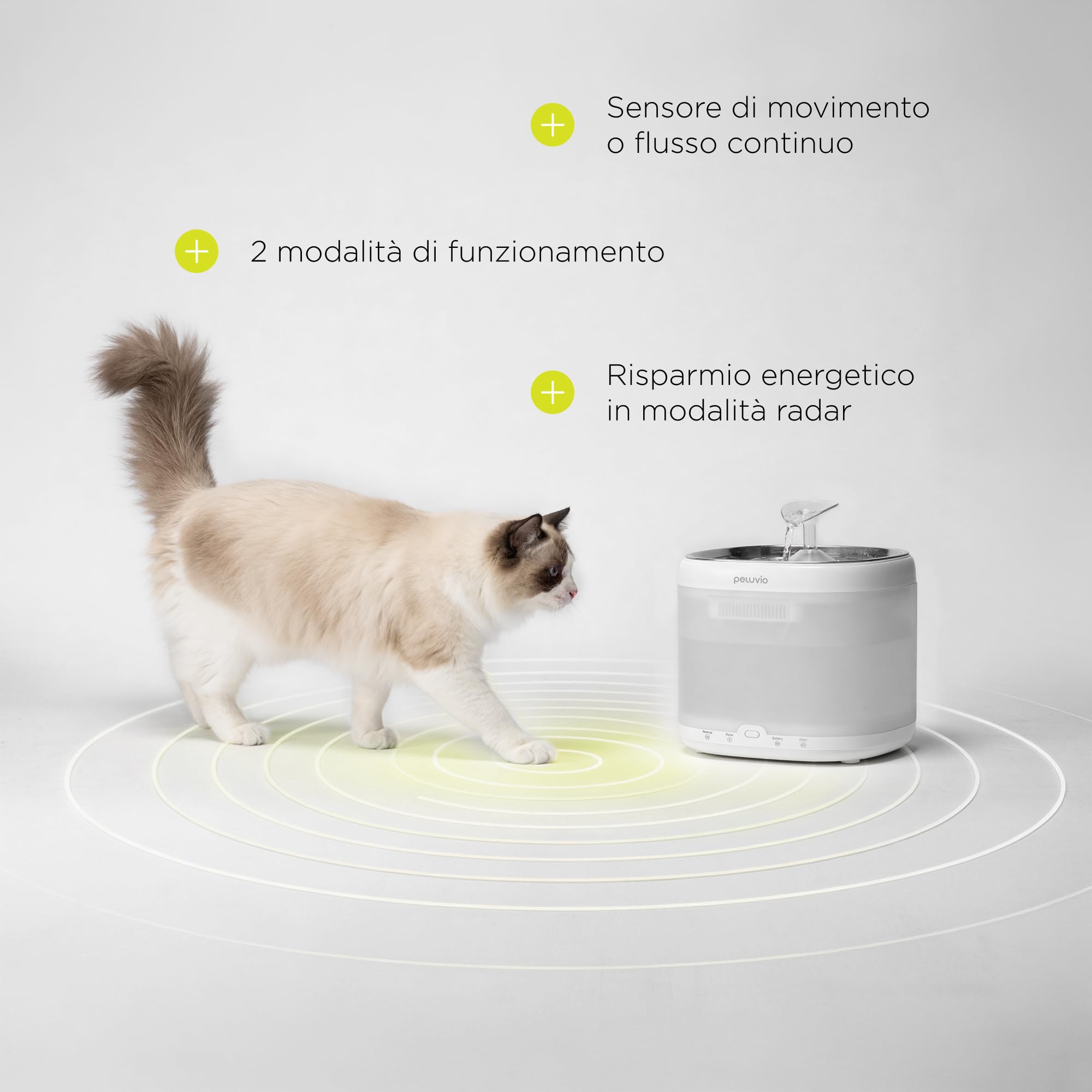 Rillan Fontanella d'Acqua per Gatti da 2 L | Fontana per Gatti con Filtro Carbone e Doppia Alimentazione USB e Batterie Facile e Rapida da Pulire, Igienica