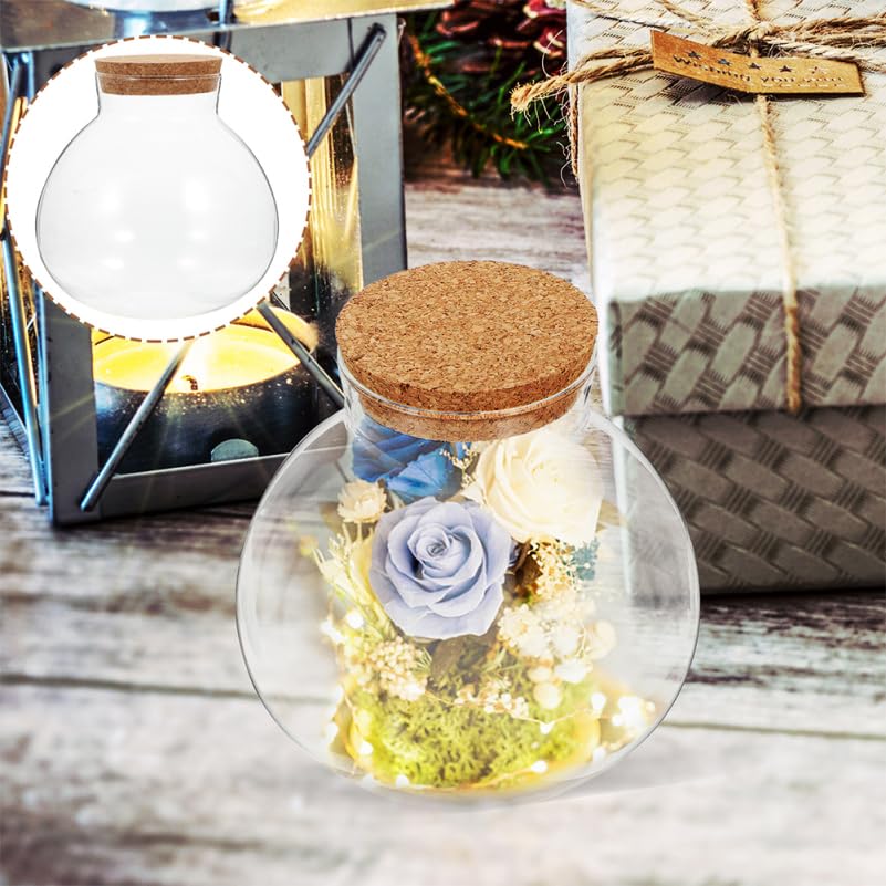 Operitacx Botella De Vidrio Transparente 5.90 Pulgadas Tarro De Cristal Para Terrario Boca Ancha Con Tapa De Corcho Para Decoración De Jardín Y Oficina Microlandscape