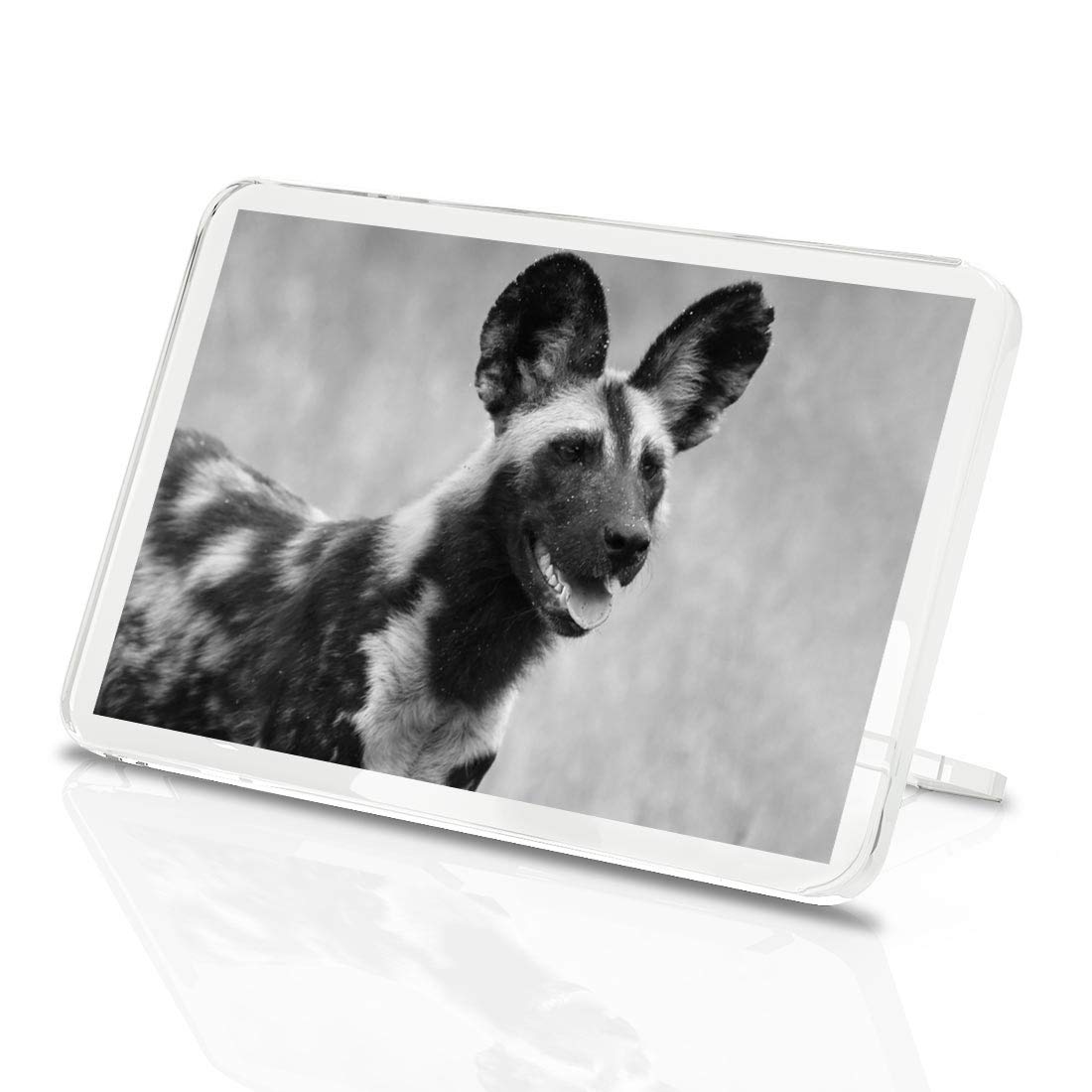 Destination Vinyl Ltd Multicolor 1 X Fridge Magnet - African Wild Dog Africa Animal #37176