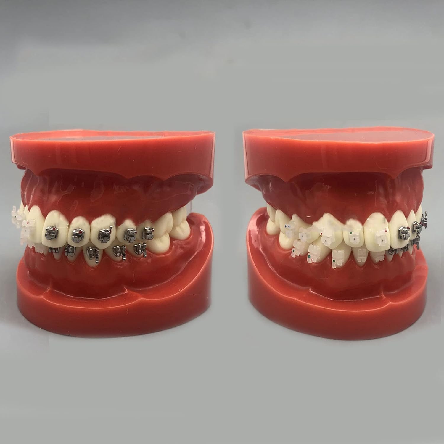 Model Dentystyczny Duplikat Formy, Model Ortodoncji, Model Dentystyczny Cztery Modele Porównawcze Zamków, Trwały Model Standardowy Badania Nauczania Dla Laboratorium