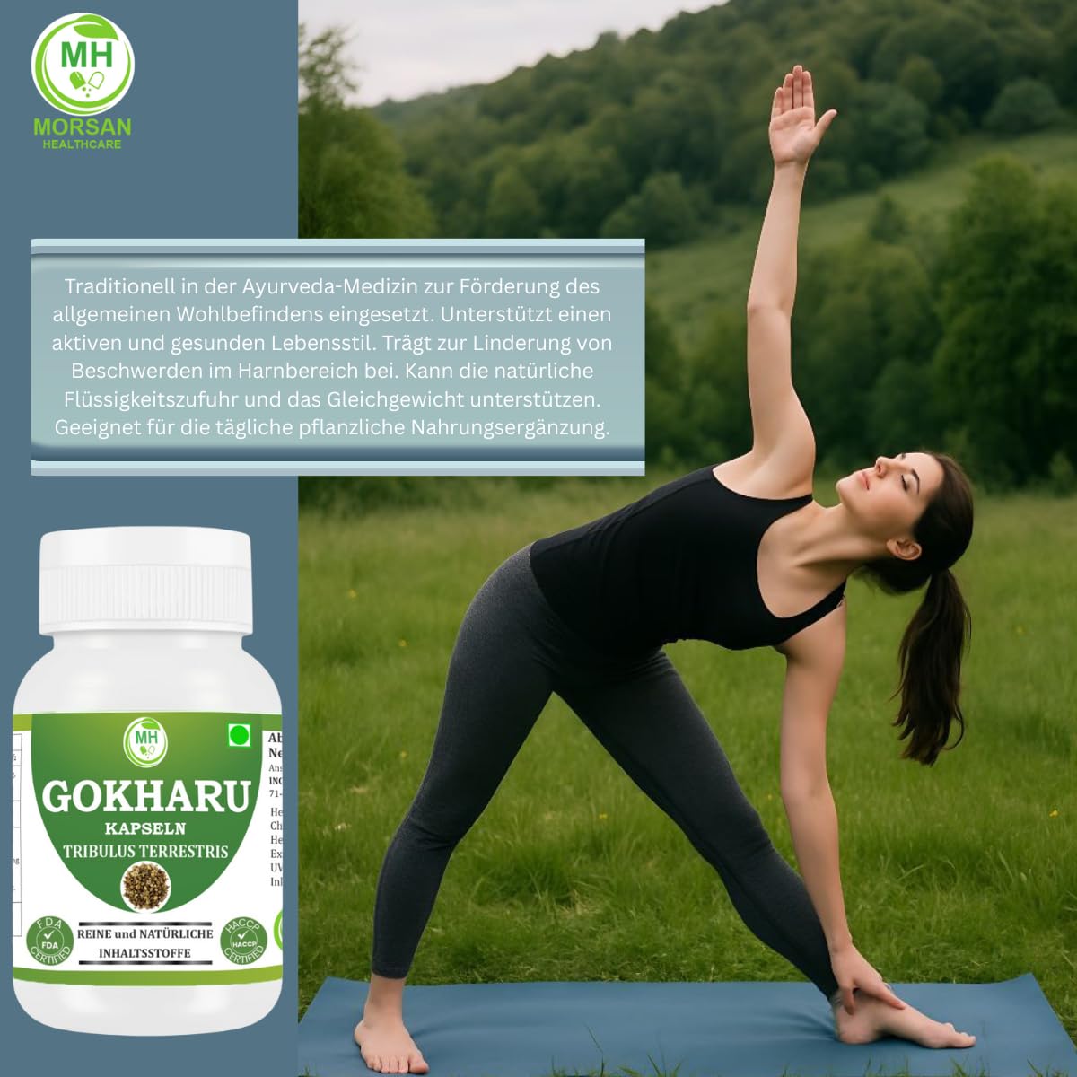 Gokharu Kapseln 500 mg | Tribulus Terrestris 10:1 Extrakt | Unterstützt Immunsystem und Leistungsfähigkeit | Bio und natürlich | 240 vegetarische Kapseln (4 Packung)
