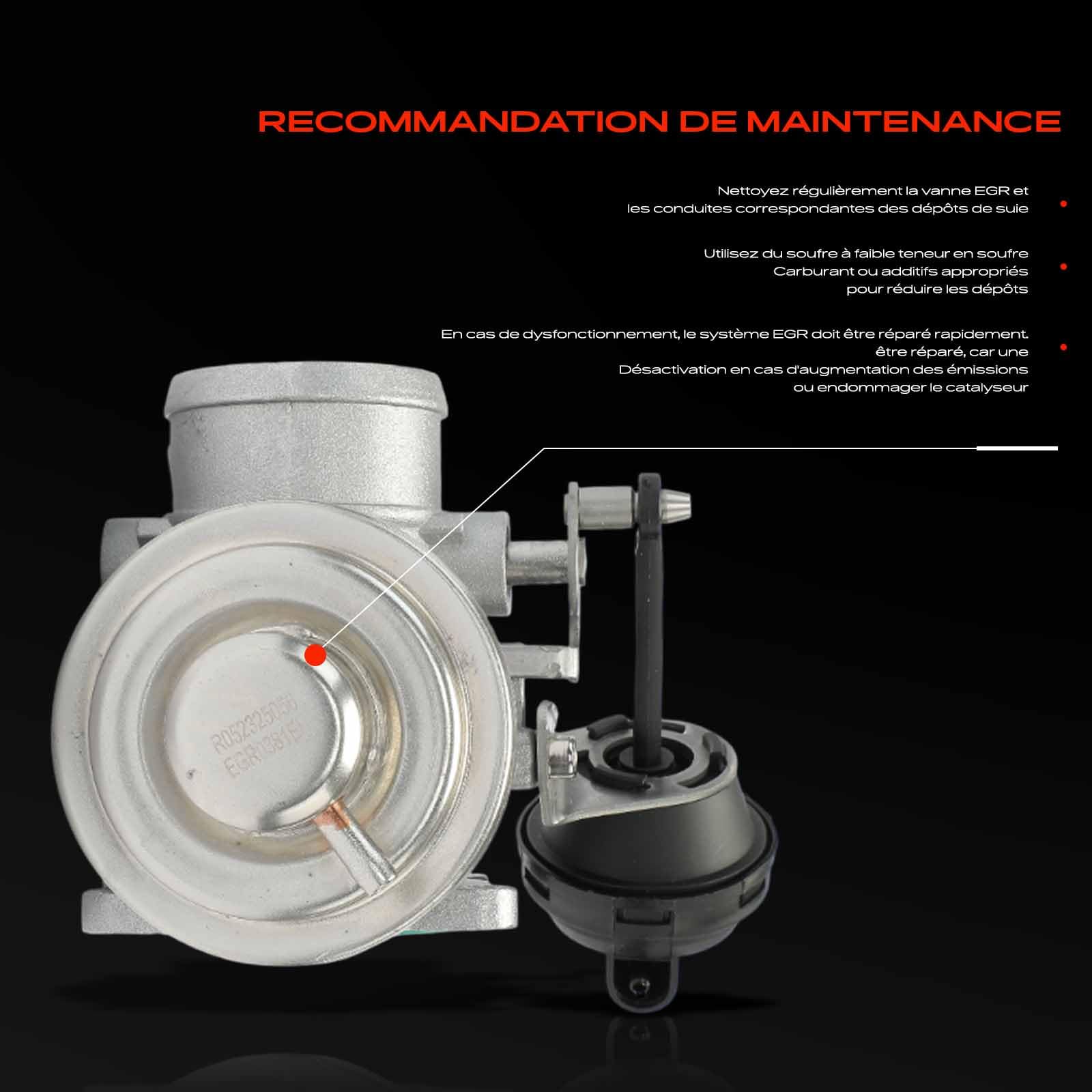 Frankberg Vanne EGR pour le recyclage des gaz d'échappement diesel