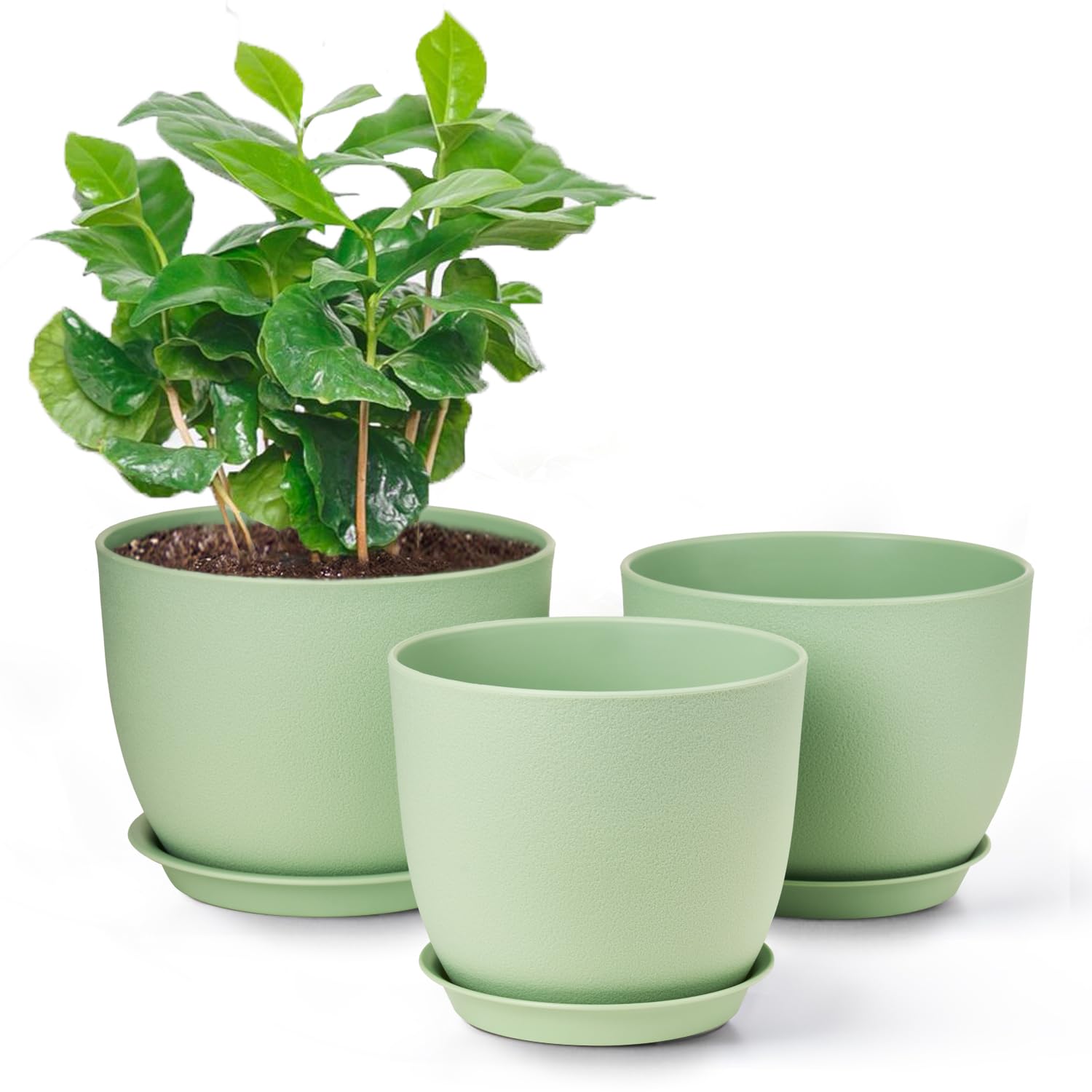Gardrium Macetero de plástico con platillo (22,9-20,3-19 cm), juego de 3 unidades, maceta de plástico con agujeros de drenaje, maceta redonda para interior y balcón, color verde
