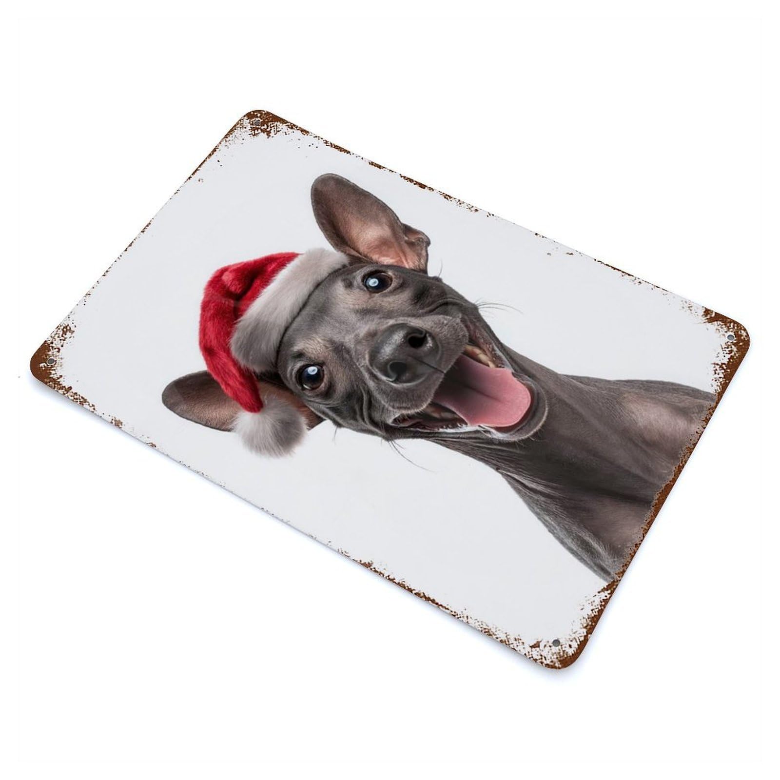 Garage Style Festive American Hairless Terrier with Santa Hat Rusty Metal Tin Sign 11.8"x7.9", Farmhouse Wall Decor for Bar And Workshop