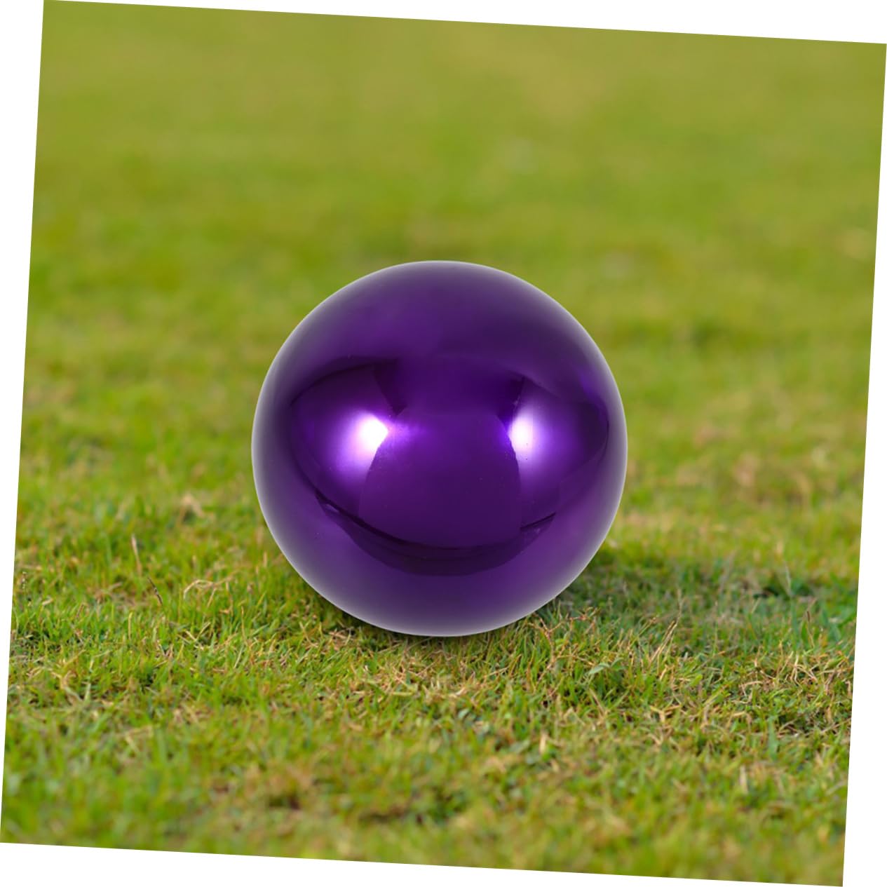 Graziosa Sfera Riflettente da Giardino in Acciaio Inox Porpora 2 Pezzi