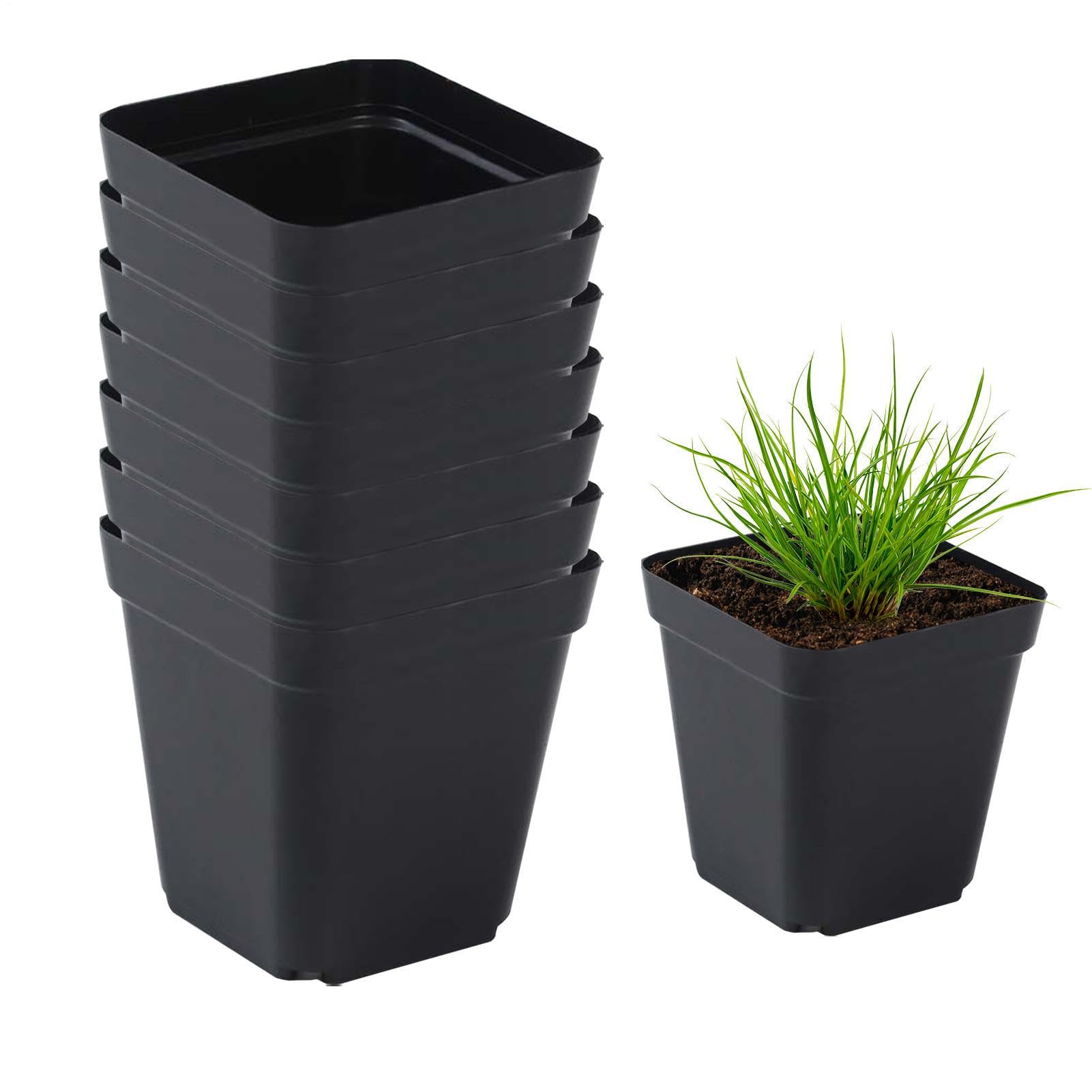 Lesunbak 50 Pots For Seed Starting/Cuttings, Gardening Seedling Pots Pack, PlasticRestaurant Square Flower Plant Succulents, Reusable Seedling Cups Square Black Seedling Pots Seedling Pots, 7cm