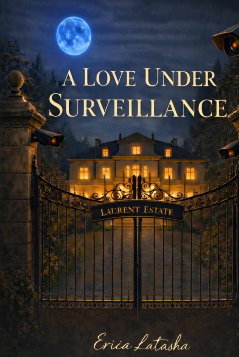 A Love Under Surveillance (The Love We Scripted)