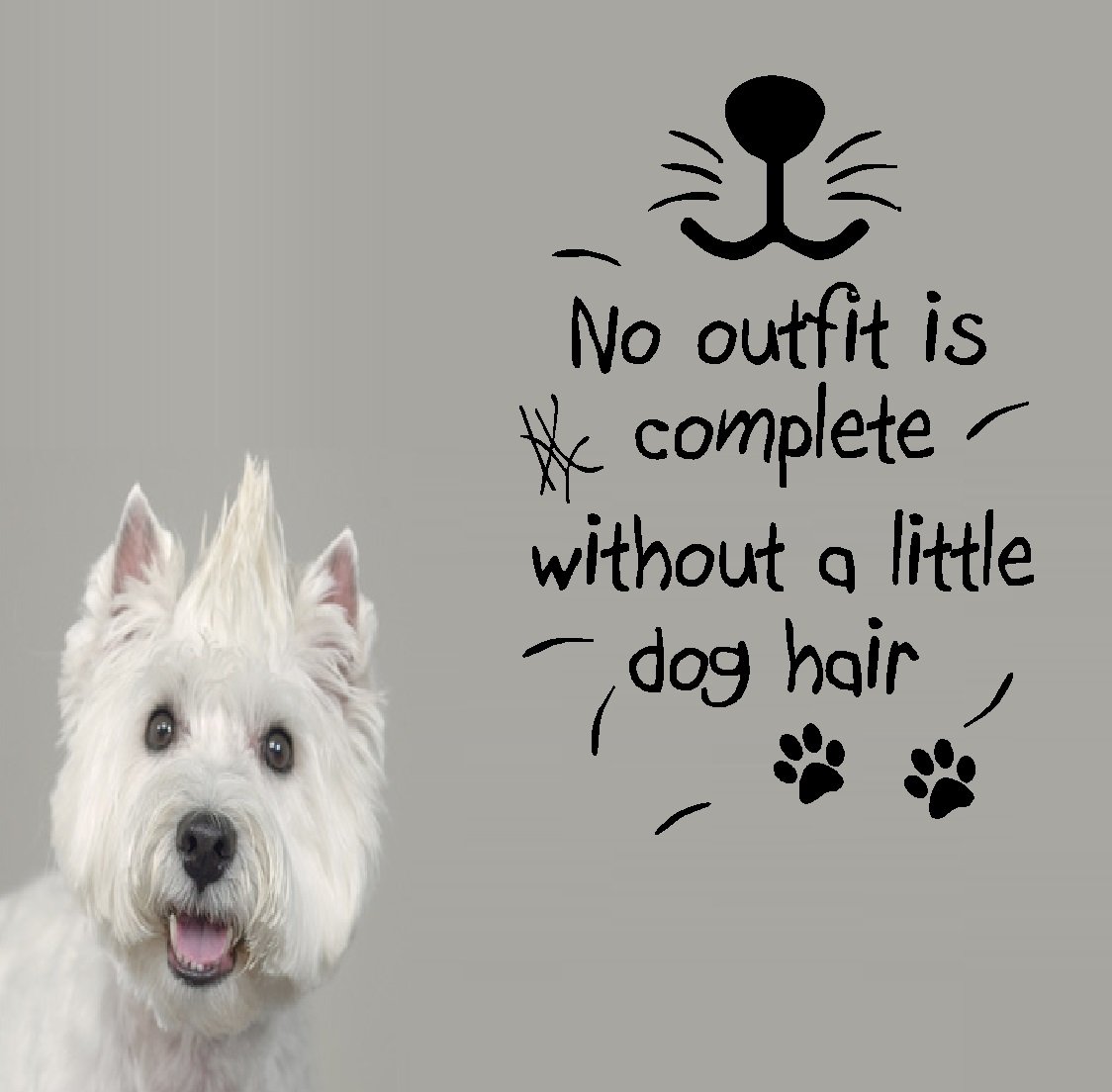 How To Get Dog Hair Off Walls