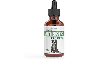 Doctor's Best Natural Antibiotics for Dogs