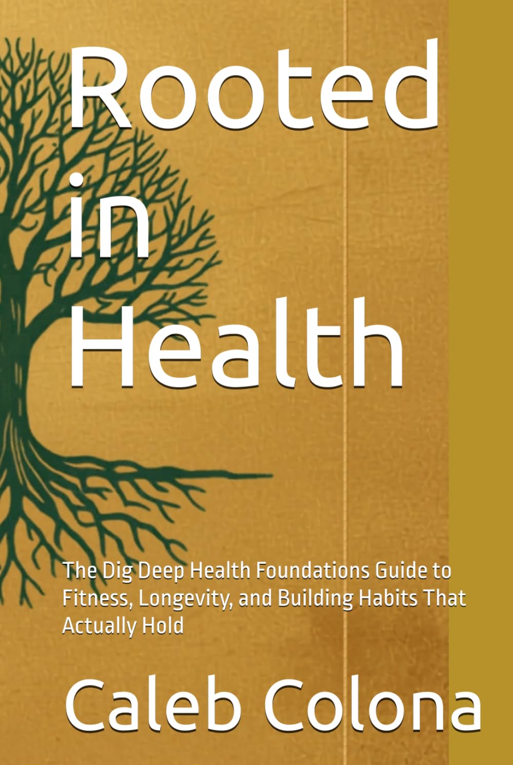 Rooted in Health: The Dig Deep Health Foundations Guide to Fitness, Longevity, and Building Habits That Actually Hold (Dig Deep Foundations Series)