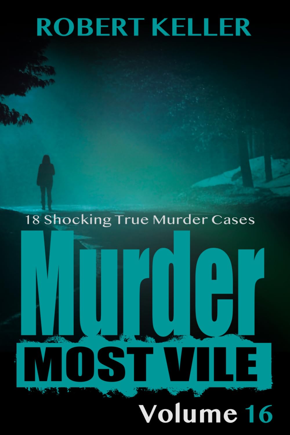 Murder Most Vile Volume 16: 18 Shocking True Crime Murder Cases