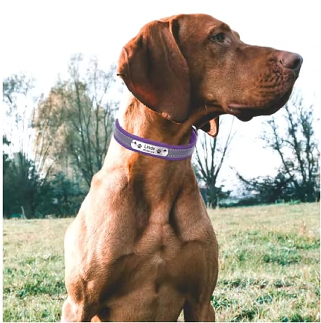 Foto 4 de 4 de SARUEL Collar De Perro Personalizado Ajustable Nombre De Identificación De Cachorro Grabado Personalizado…