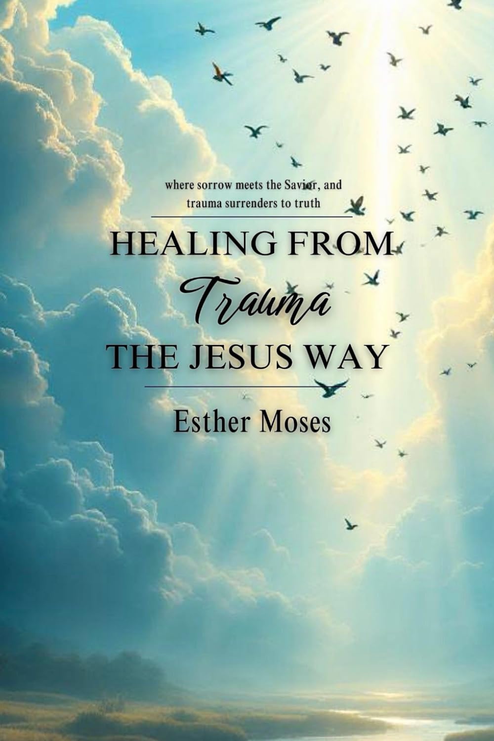 Healing From Trauma The Jesus Way