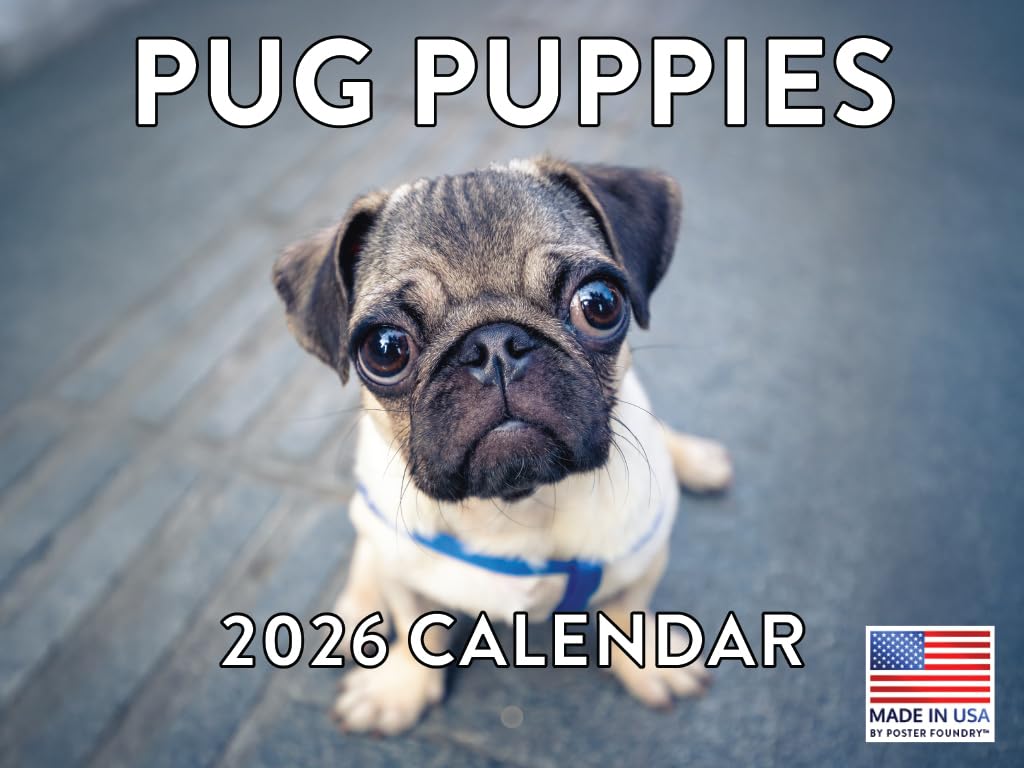 Pug Puppy Calendar 2026 Monthly Wall Calender 12 Month | American Made In The USA โ image 1