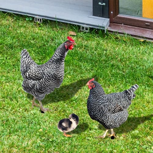 Hühnersteigelset, Metal Chicken Yard Art,Rooster Animal Stakes - 3X wetterresistente Eisenhken-Küken Spikes für Landschaft, Ostern, Küchenrasen
