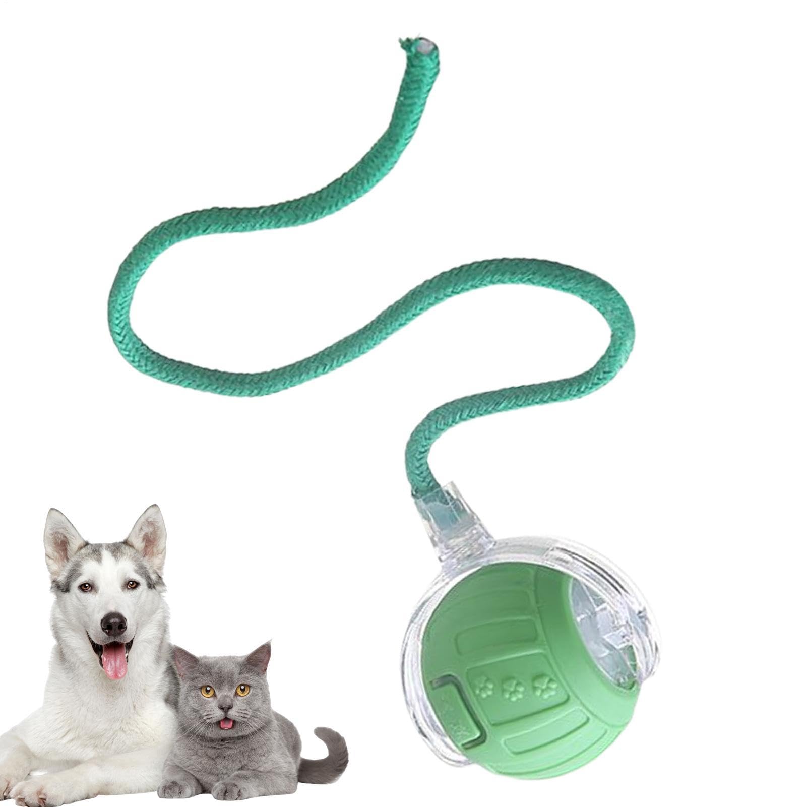 Juguetes automáticos para gatos que sufren de aburrimiento y estrés