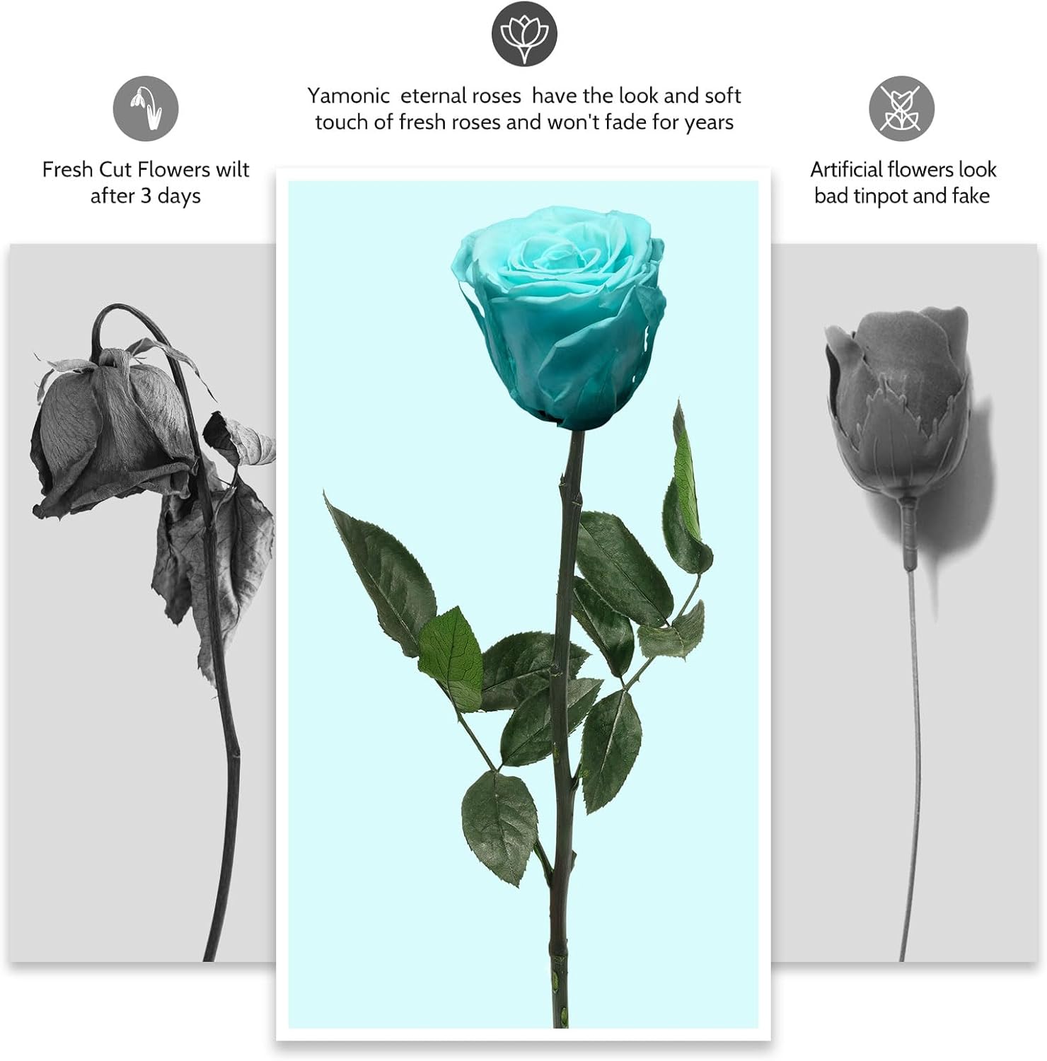 Yamonic Preserved Flower Rose for Delivery Prime,Birthday Gifts for Women,Single Real Rose Flower Mom Gifts for Her,Grandma,Wife,Girlfriend Gift for Anniversary Wedding,Mothers Day Rose Gifts for Mom
