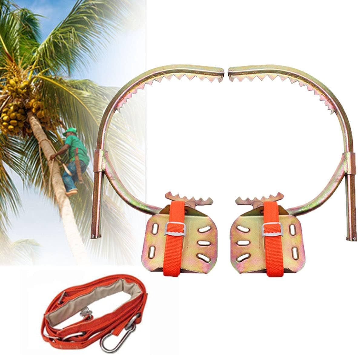 Tree Climbing Spike One Pair 2 Gears Set Safety Belt Adjustable Rope Rescue Belt Portable Non-Slip Climbing Spikes Shoes for Hunting Observation Picking Fruit Coconut,400Model