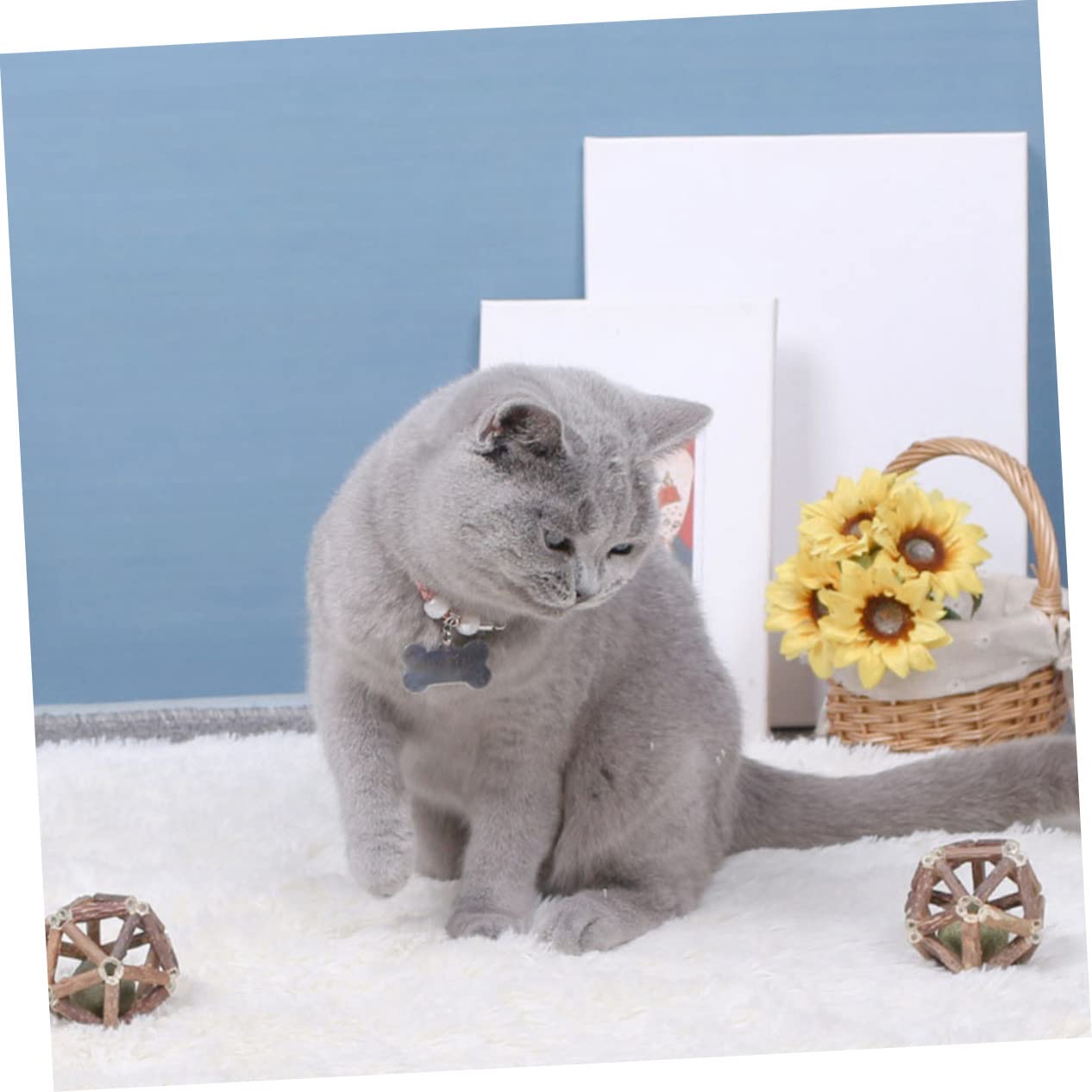 Supvox 12stücke Katzenminze Für Katzen Natürliche Kaubälle Aus Actinidia Polygama Zur Zahnpflege Und Verbesserung Der Verdauung Spielzeug Für Neugierige Kätzchen