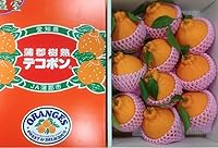 愛知県産 JA蒲郡市 デコポン 蒲郡樹熟デコポン 赤秀 2L～5Lサイズ 7～12玉（約3kg）化粧箱入り でこぽん/デコポン/みかん/ミカン/蜜柑/柑橘/蒲郡 デコポン/贈答用/フルーツ/果物/ギフト
