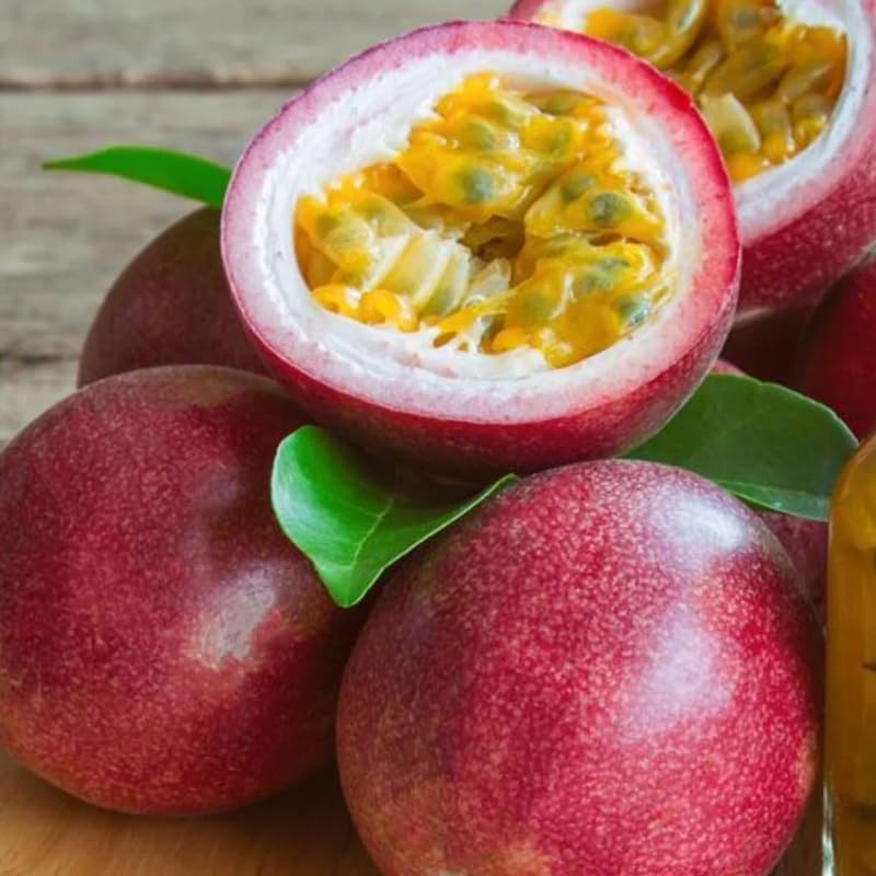 Mixed Passionfruit Tree Live Plant, Passion Fruit Vine for Planting, 4-8 Inches Tall
