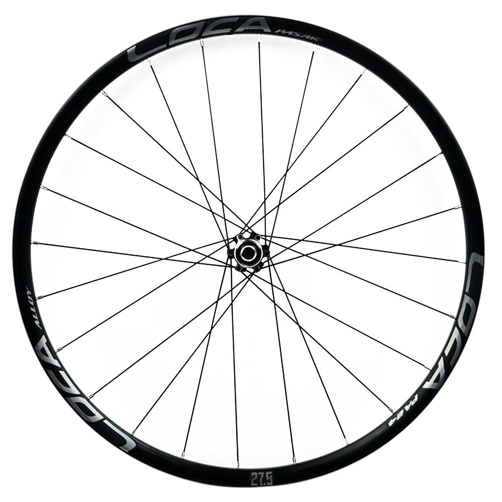 TUJISEK MTB Ruote 26/27.5/29 Pollici Rilascio Rapido Freno A Disco Ciclismo da Montagna Rim Ruote per 7 8 9 10 11 12 velocità Cassetta Ruota Libera 24 Buche(Silver 1,27.5in)