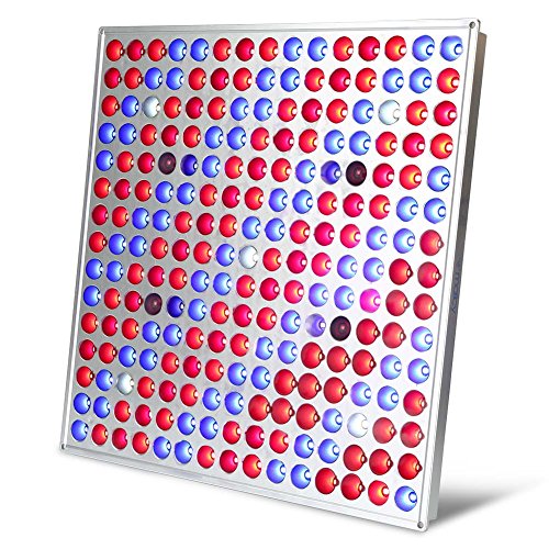 MAIICY Led Grow Lights Full Spectrum 45W 225 LEDs Grow Lights for Indoor Plants Seedling lamp.This Full-Spectrum Seedling lamp can Make Seeds germinate Within a Week.